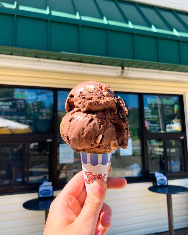 破格 超希少 IceCream アイスクリーム ライトダウン ジャケット L